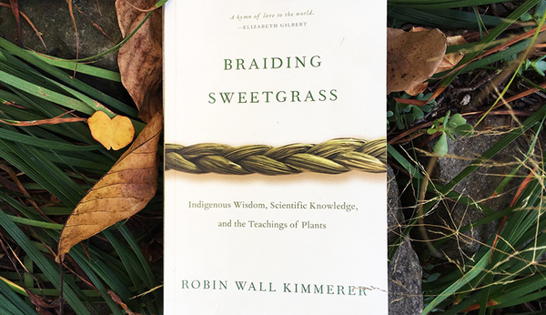 yannai book club #2: braiding sweetgrass