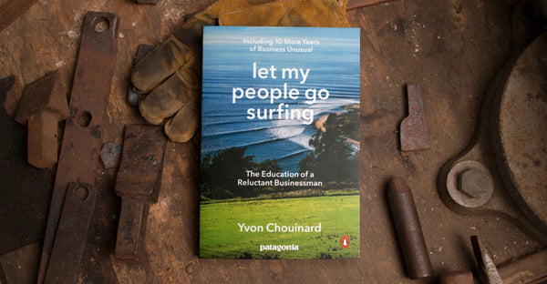 yannai book club #1: let my people go surfing reflection